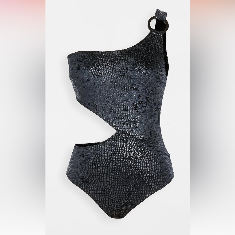 Solid & Striped The Claudia one piece